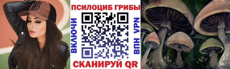 нарко площадка состав  Змеиногорск  Галлюциногенные грибы Magic Shrooms 
